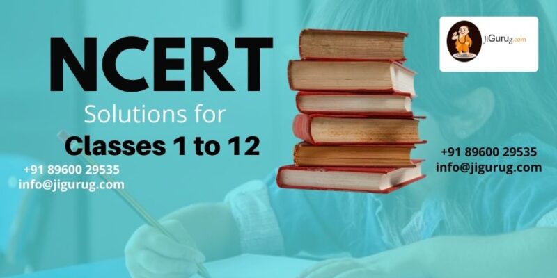 NCERT Solutions Class 1 to 12